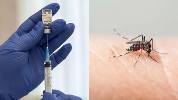 Dengue: Completar el esquema de vacunación es clave para anticiparse a nuevos brotes