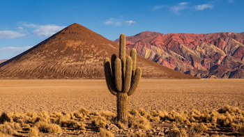 Anunciaron los proyectos ganadores del Concurso de Coproducción Jujuy–Salta