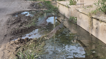 Barrio Alberdi con inundaciones crónicas, agua estancada y contaminación