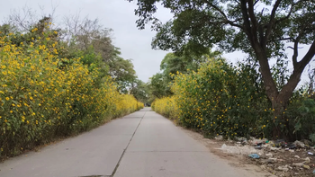 Palpalá: problemas de contaminación y falta de iluminación