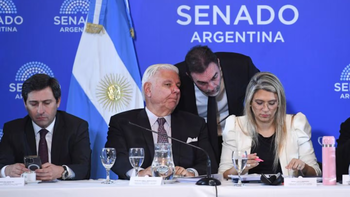 El súper RIGI avanza en el Senado, pero los bloques dialoguistas condicionan su apoyo