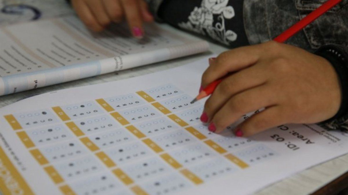Pruebas Aprender: El 72% de los alumnos no llegó a niveles satisfactorios en matemáticas
