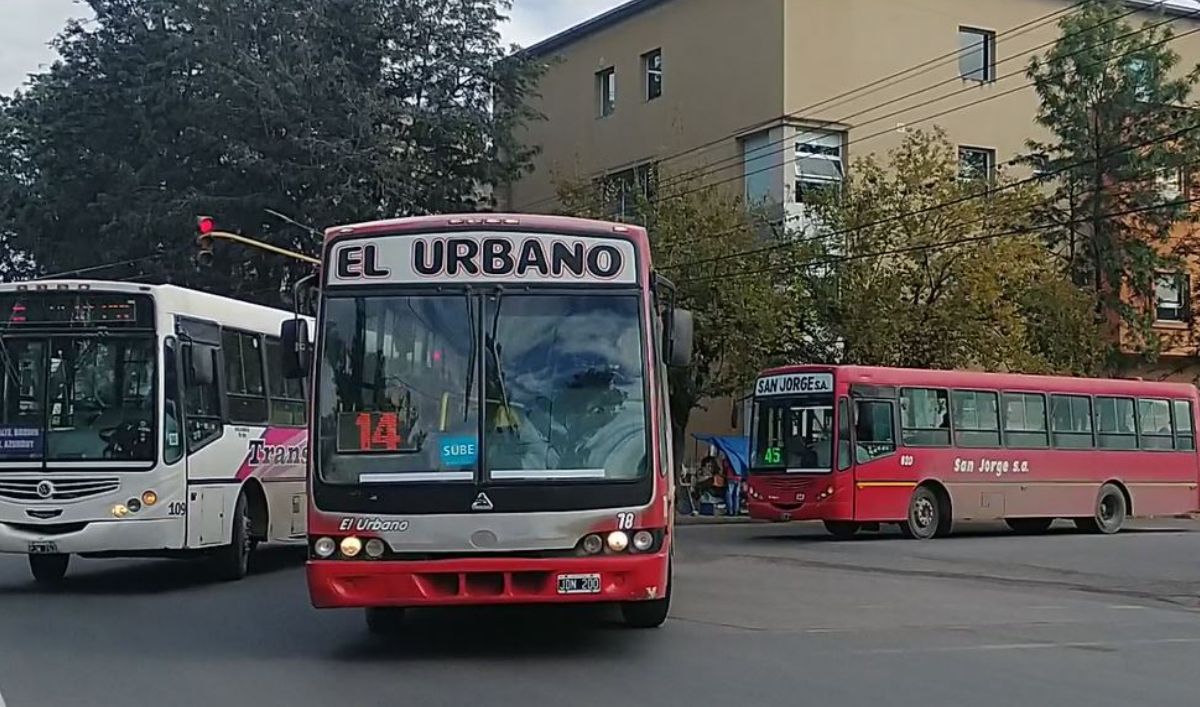 Colectivos más caros: aprobaron el aumento del boleto en San Salvador