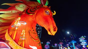 Comienza el Año del Caballo de Fuego, símbolo de energía y transformación