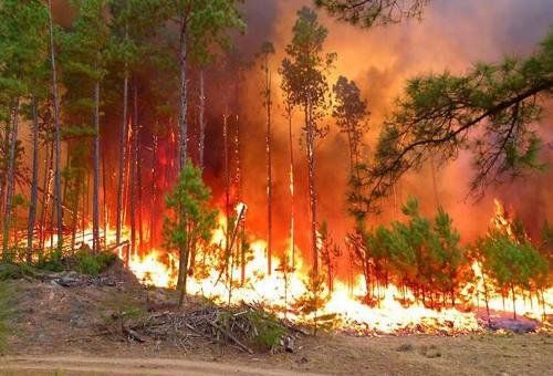 De la Sota calificó como muy grave la situación por los incendios en Córdoba