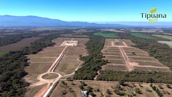 Tipuana, el loteo de El Ceibal donde las promesas ya se ven