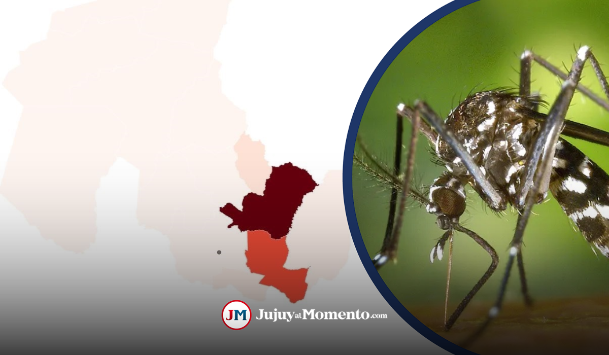 El mapa del dengue en Jujuy: Ledesma y San Pedro en rojo