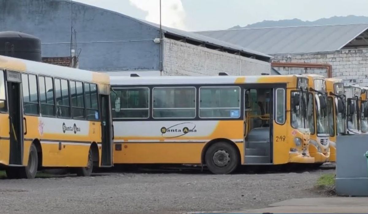 Empresarios del transporte de Jujuy sostienen: FATAP no nos representa