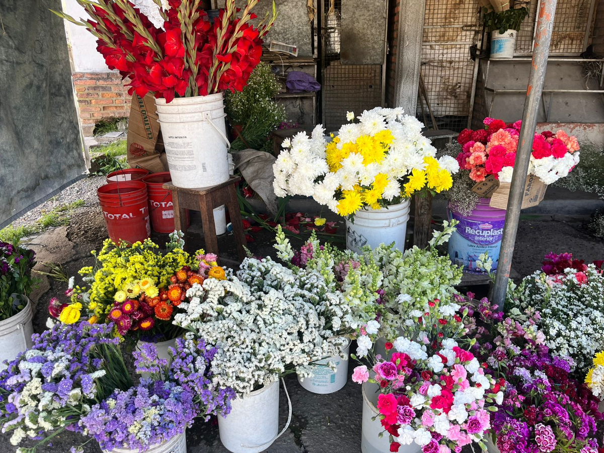 Fieles Difuntos: vendedores de flores mantienen los precios y esperan mejorar las ventas Fieles Difuntos: vendedores de flores mantienen los precios y esperan mejorar las ventas