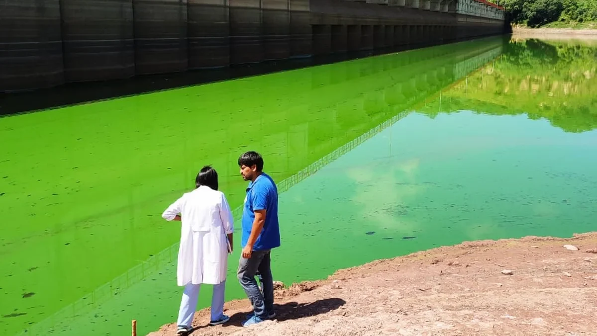 Agua verde en el Dique Los Alisos: esperan la lluvia para dispersar el alga