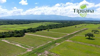 ¡Viernes de Dueños en Marzo!