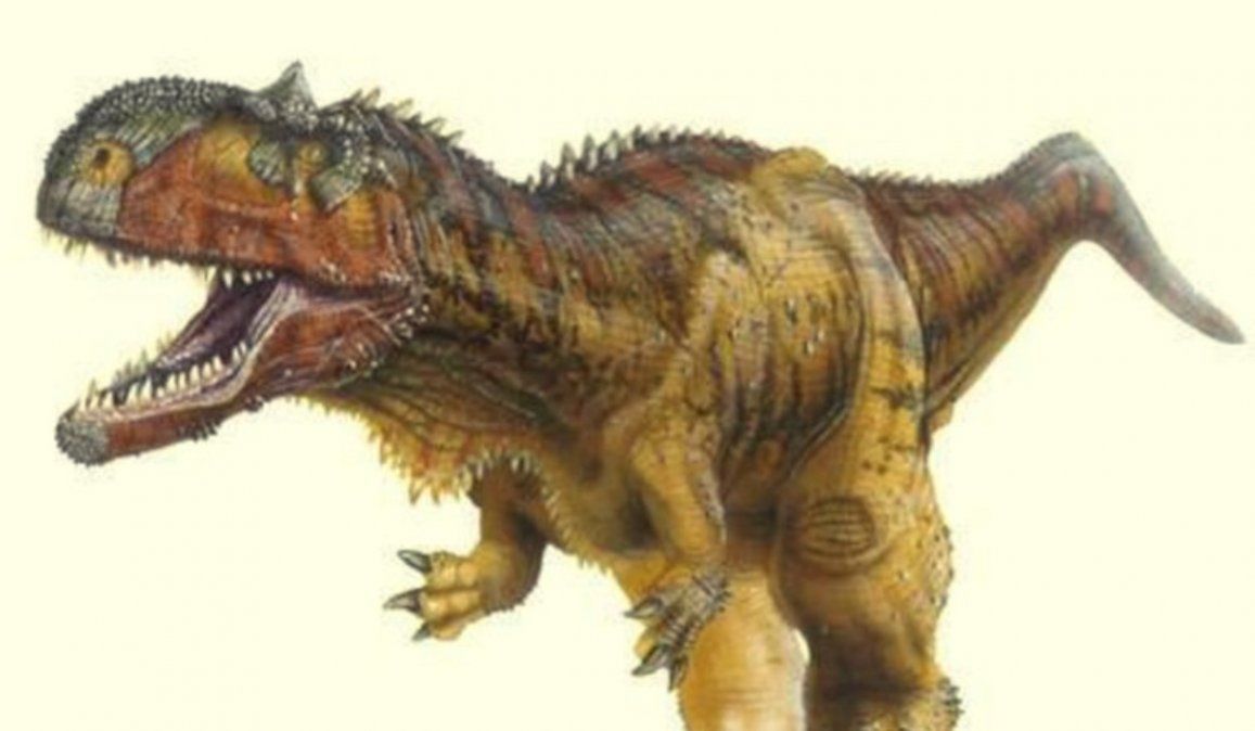 Hallaron en Río Negro restos fósiles de un dinosaurio carnívoro de 70 millones de años