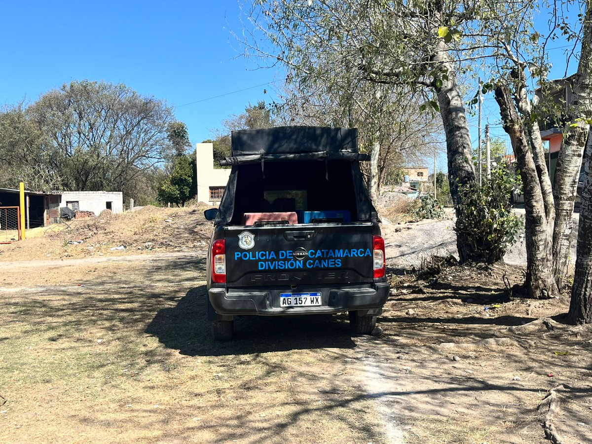 Foto: equipo especializado de canes de Catamarca.
