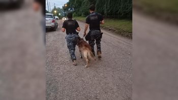 Hallaron el cuerpo de un hombre en inmediaciones del predio Jaque de San Pedro