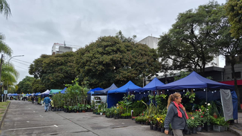 Productores de plantas enfrentan altos costos y bajas ventas
