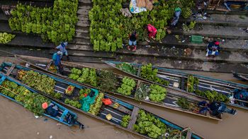 Lluvia y tradición: explora la cultura afrocolombiana  del Chocó en 