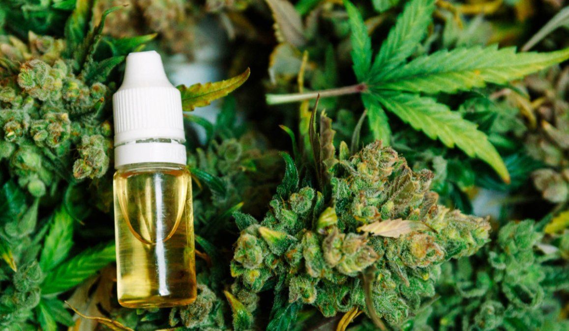El gobierno creó un registro para quienes requieren acceder al cannabis medicinal