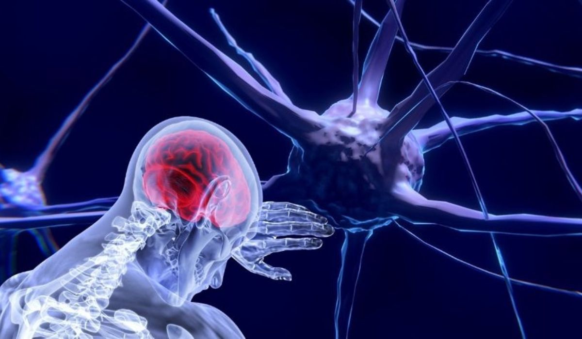 Esclerosis múltiple: cómo detectar los síntomas