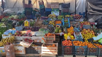 Mandarina y cebolla, los alimentos que más aumentaron en Jujuy