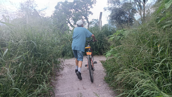 Abandono en Los Molinos: vecinos circulan entre la maleza