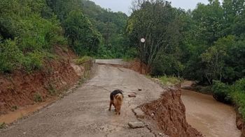 Fuertes lluvias provocaron cortes y complicaciones en rutas de Jujuy