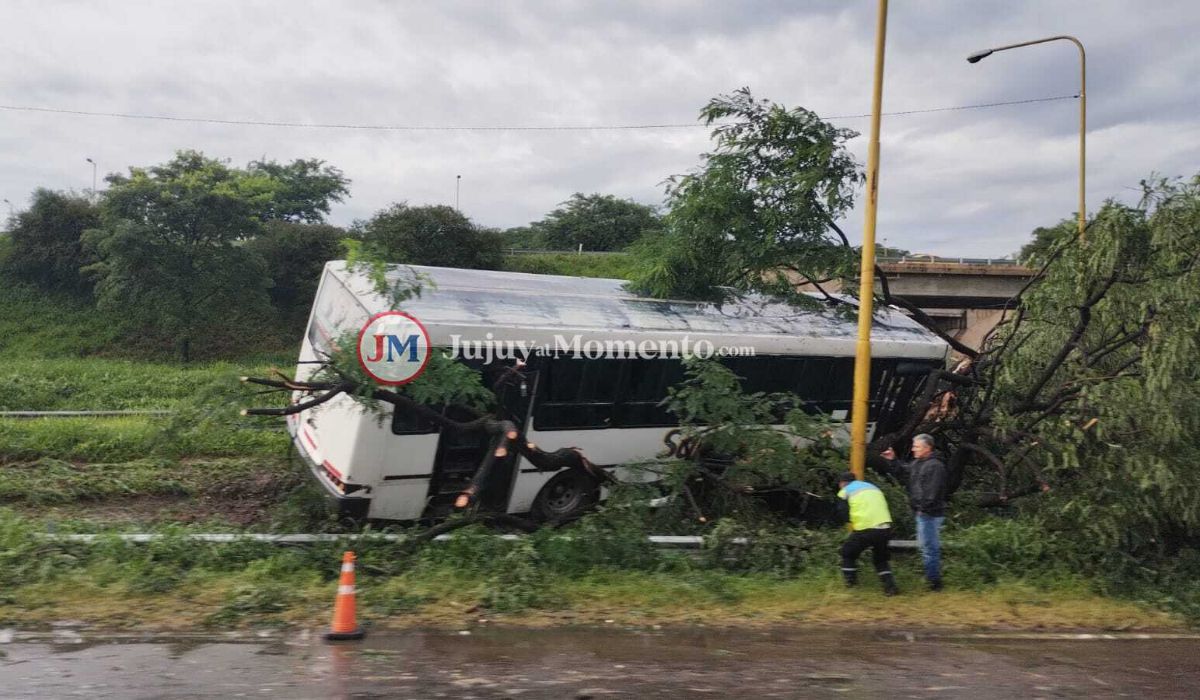 Foto: choque de colectivo en el acceso sur.