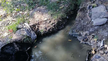 Perico sigue padeciendo la desidia: inseguridad y pérdidas de líquidos cloacales