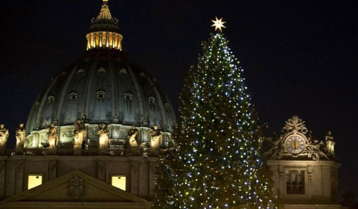 Cómo es el imponente árbol de Navidad del Vaticano