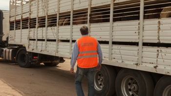 Nuevo marco regulatorio para el transporte de animales vivos y productos de origen animal