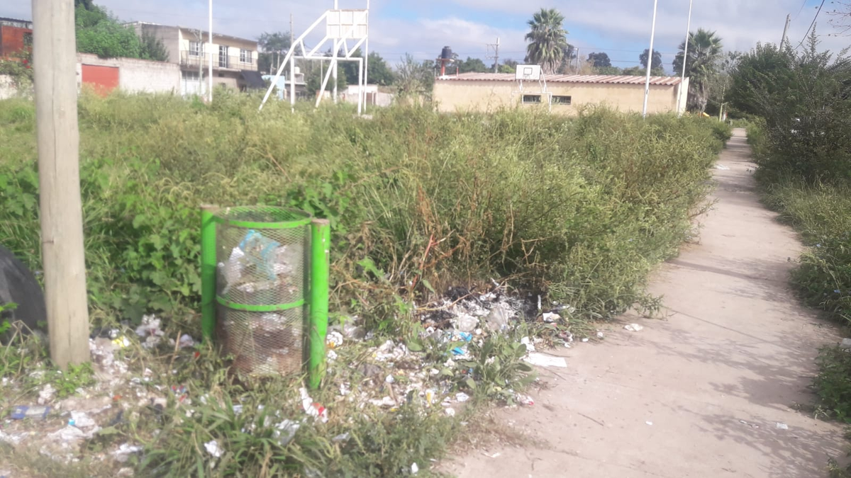 Barrio Florida repleto de reclamos iluminación, malezas, basura y