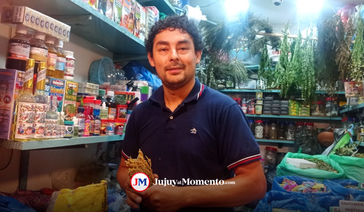 Martes de Chaya: El significado de cada hierba al momento de sahumar