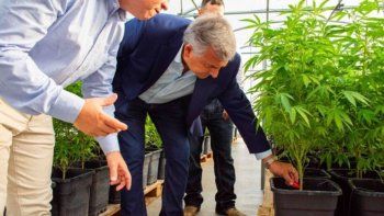 Investigan irregularidades en Cannava y ocultamiento de información sobre Finca El Pongo