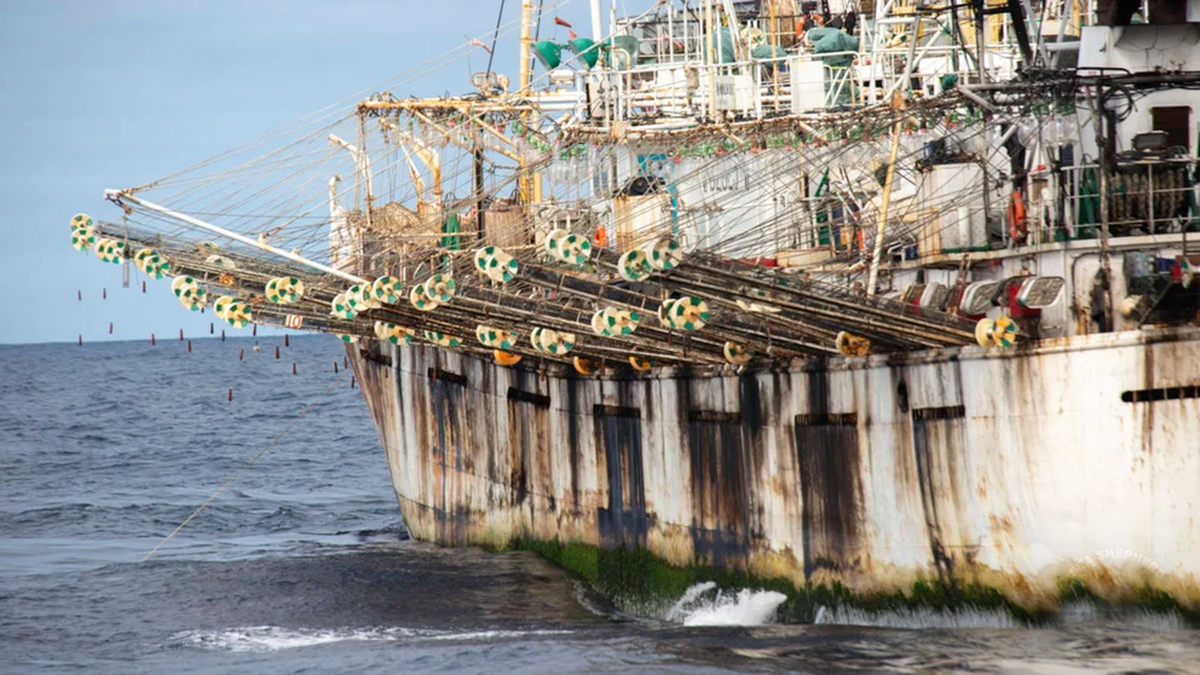 Pesqueros chinos apagaron el rastreo más de 600 mil horas para depredar aguas argentinas