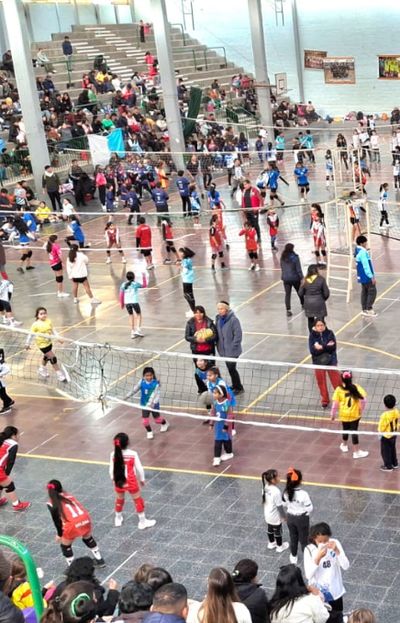 Pequeños gigantes del vóley coparon el polideportivo del Santa Teresita