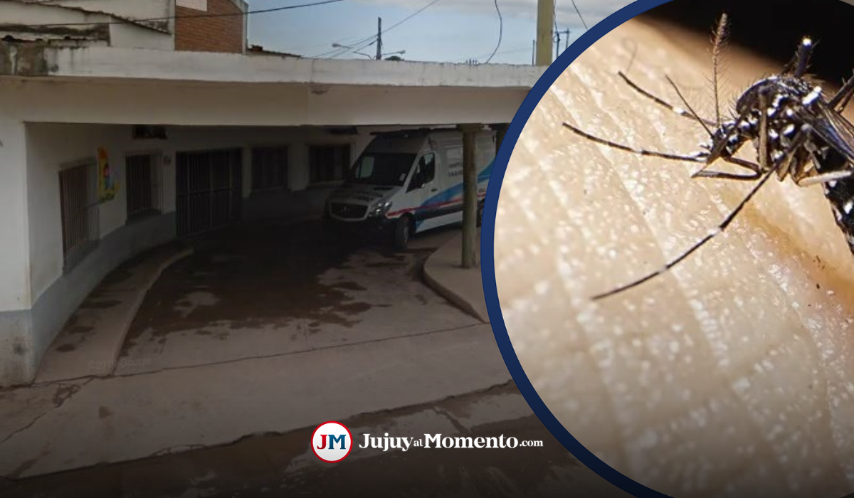 Brote en Caimancito: madre alarmada, su hijo tiene dengue y no recibe atención