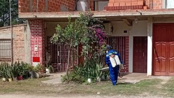 Alerta por Chikungunya: Perico refuerza las tareas de desinfección