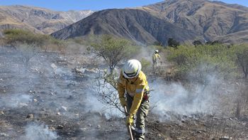 En Jujuy, hubo más de 300 incendios y se quemaron 10.000 hectáreas