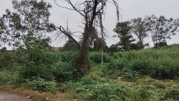 Rivarola reconoció que la situación de los barrios de Palpalá 