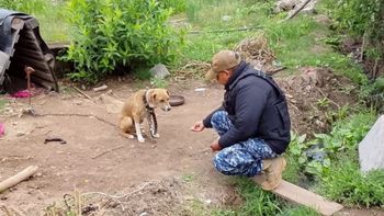 Rescataron a un perro víctima de maltrato animal: su dueña quedó a disposición de la Justicia