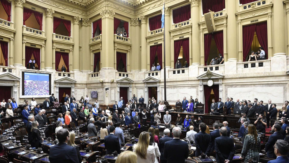 Juraron los senadores y diputados nacionales: quiénes son los representantes de Jujuy