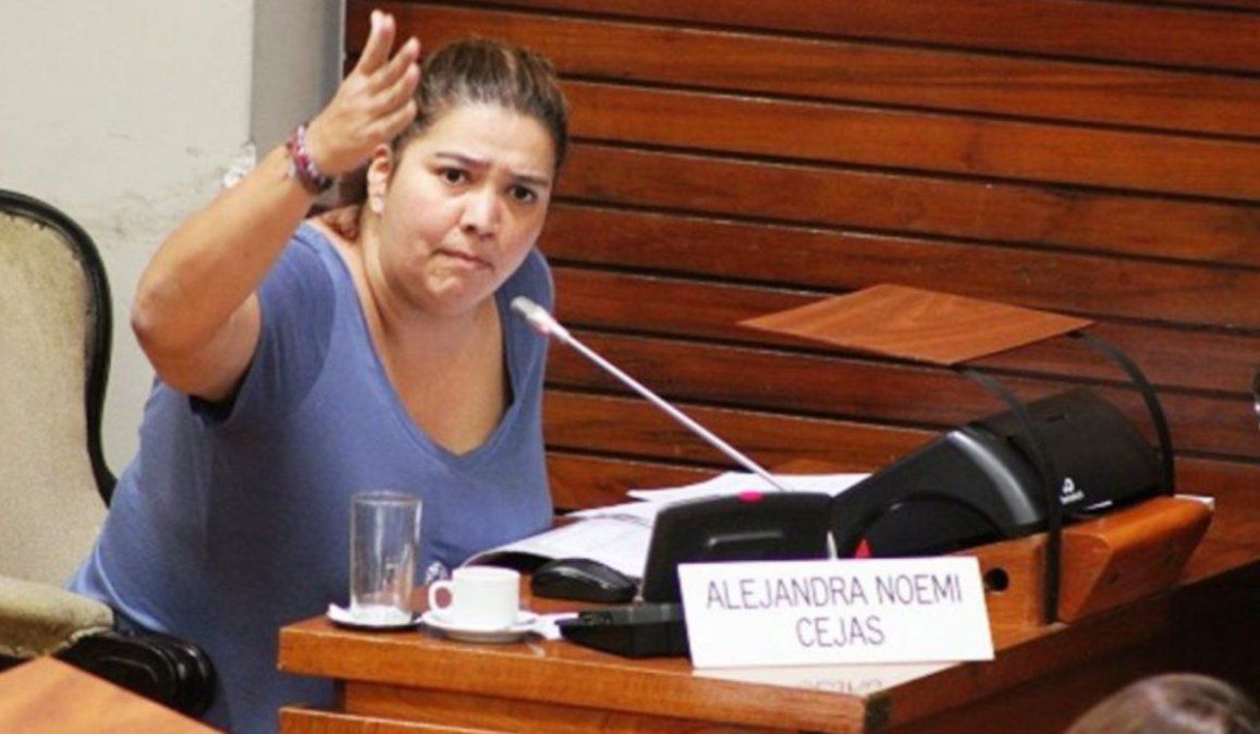 Mujeres peronistas y feministas se manifestaron a favor de la diputada Alejandra Cejas