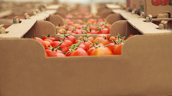 Nuevas medidas para la importación de alimentos: los detalles