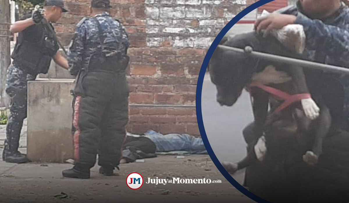 Detuvieron a un joven y secuestraron a su pitbull en Mariano Moreno