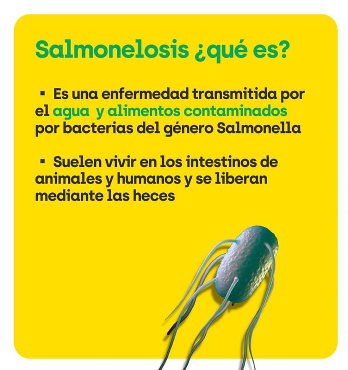 Salmonella en Jujuy síntomas y para prevenirla