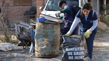 Siete meses sin casos de dengue en Jujuy