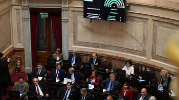 El Senado rechazó definitivamente el veto a la Emergencia en Discapacidad