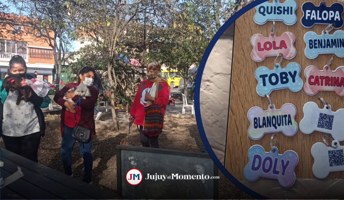 Nuevas placas identificadoras con código QR para mascotas en Jujuy