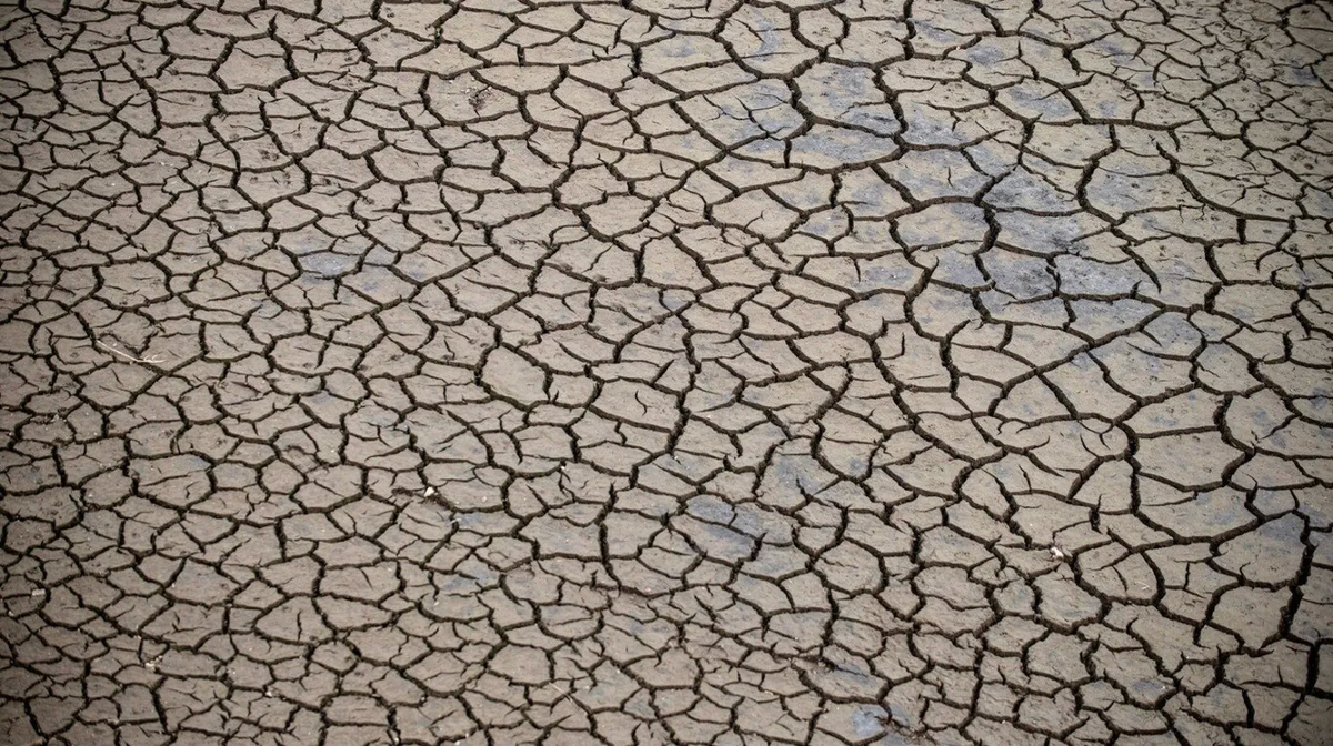 Barcelona aplicará restricciones para el uso del agua por la sequía