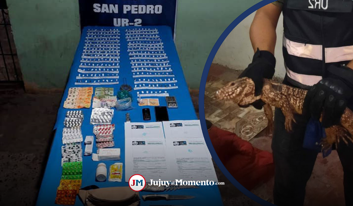 San Pedro: secuestro de droga y rescate de un reptil en cautiverio