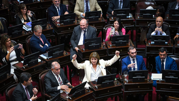 El Senado debate la continuidad del juez Mahiques y la designación de Crexell como embajadora